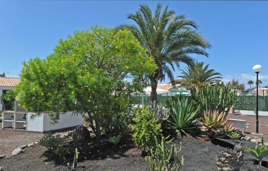 Villa Fidel – 3-Bedroom Retreat with Heated Pool in Maspalomas