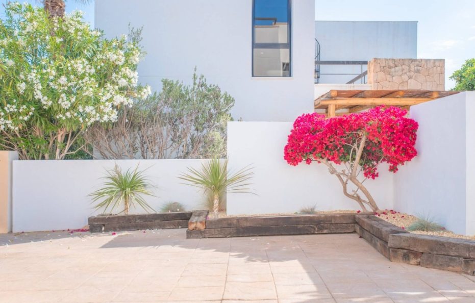 Casa Mar Serena, San Antonio Bay – Modern Pool Villa Near the Sea